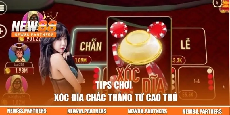 Tips chơi Xóc Đĩa chắc thắng từ cao thủ 