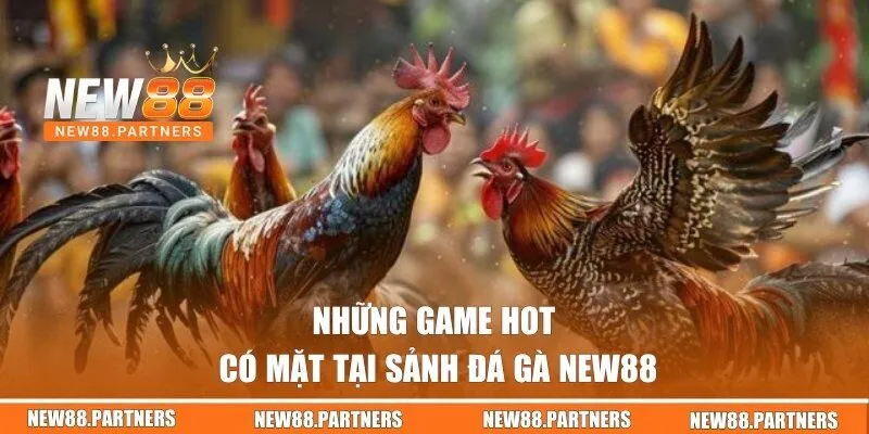Những game hot có mặt tại sảnh đá gà New88